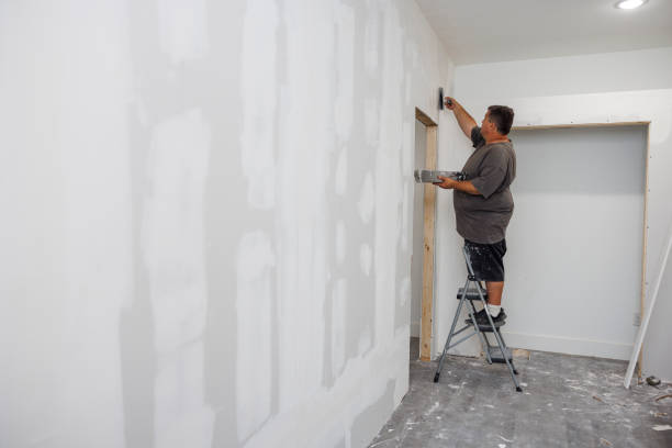Best Airborne Mold Testing  in Valmeyer, IL