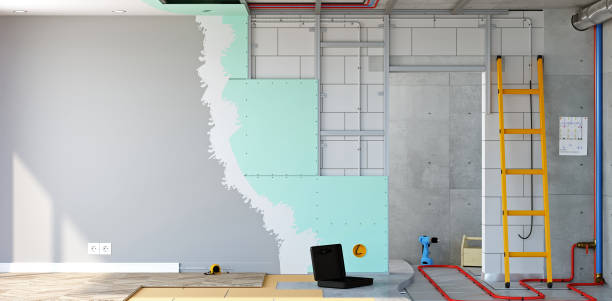 Best Mold Removal for HVAC Installations  in Valmeyer, IL